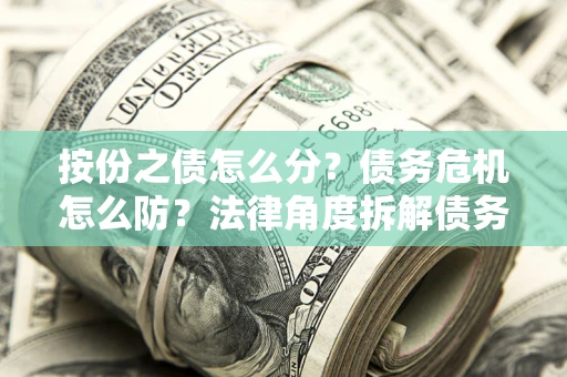 武汉按份之债怎么分？债务危机怎么防？法律角度拆解债务分配与风险自保指南