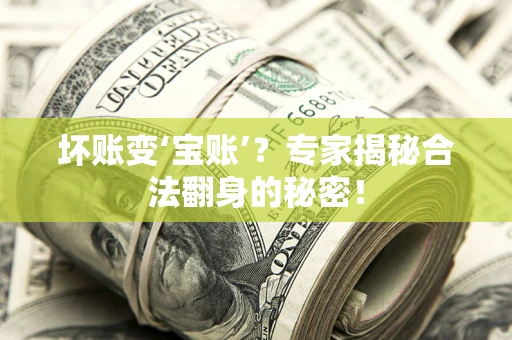 武汉坏账变‘宝账’？专家揭秘合法翻身的秘密！
