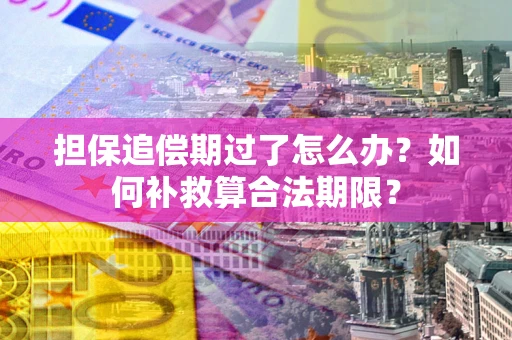 武汉担保追偿期过了怎么办？如何补救算合法期限？