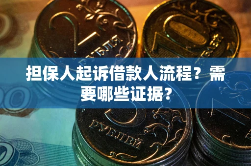 武汉担保人起诉借款人流程？需要哪些证据？