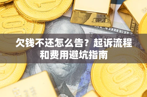 武汉欠钱不还怎么告？起诉流程和费用避坑指南
