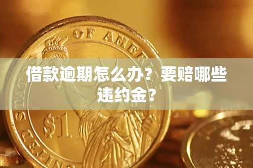 武汉借款逾期怎么办？要赔哪些违约金？