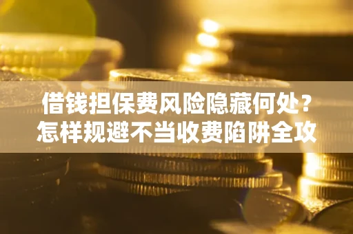 武汉借钱担保费风险隐藏何处？怎样规避不当收费陷阱全攻略！